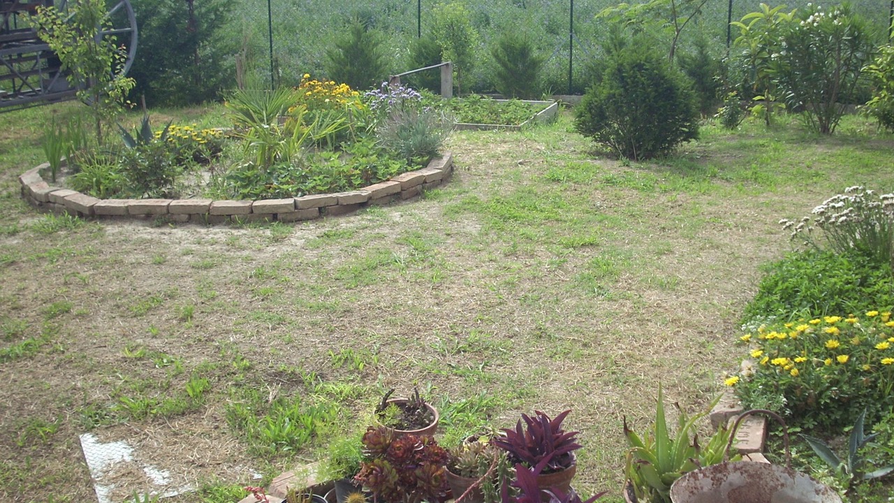 Photo of Outdoor in Taglio di Po