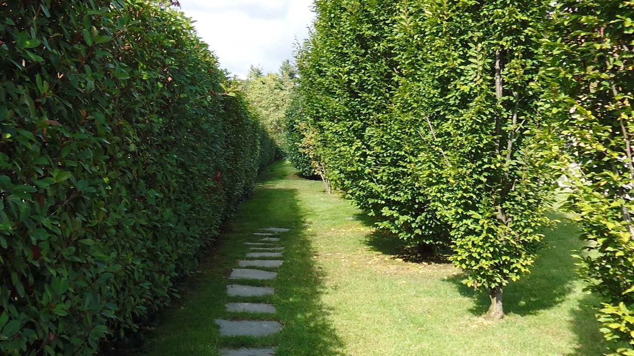 Photo of Outdoor in Torrazza Piemonte
