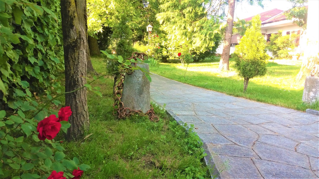 Photo of Outdoor in Revello