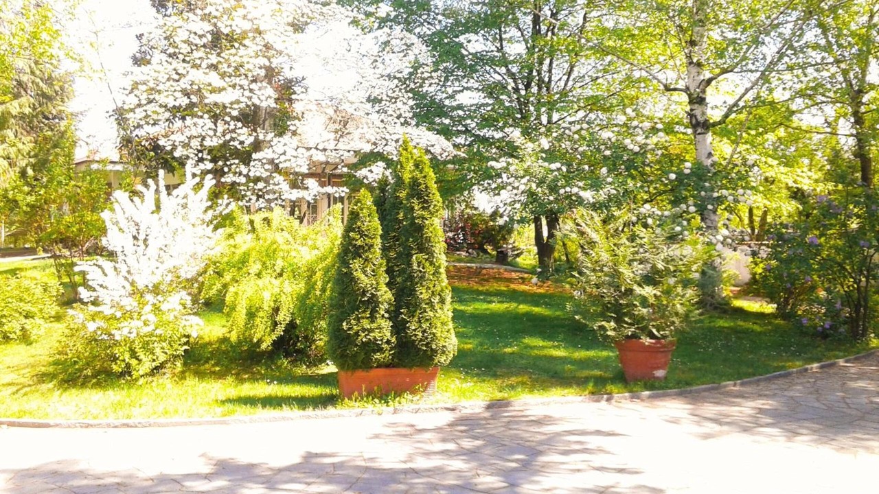Photo of Outdoor in Revello