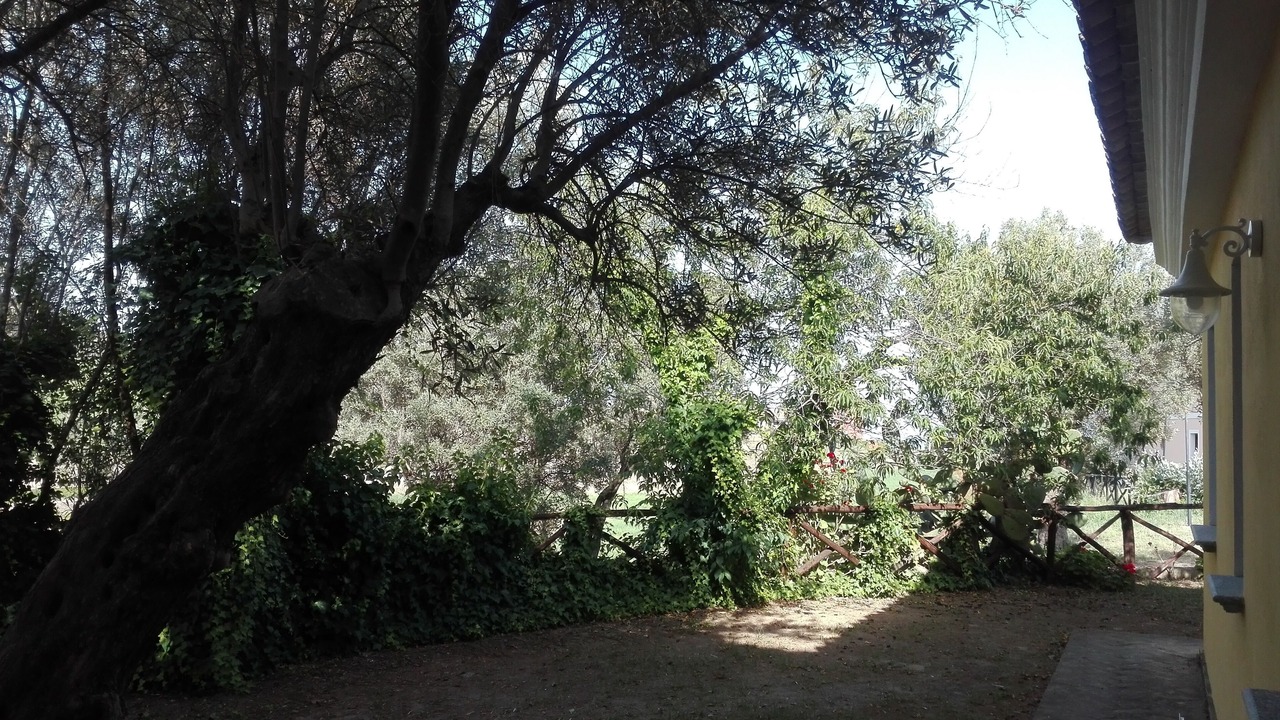 Photo of Outdoor in Squillace