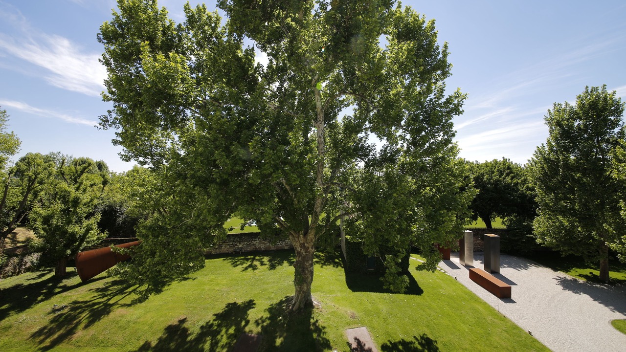 Photo of Outdoor in Lonigo