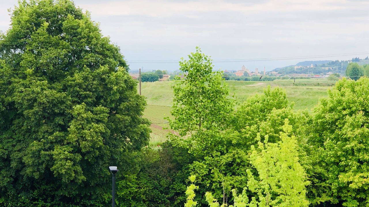 Photo of Outdoor in Lonigo