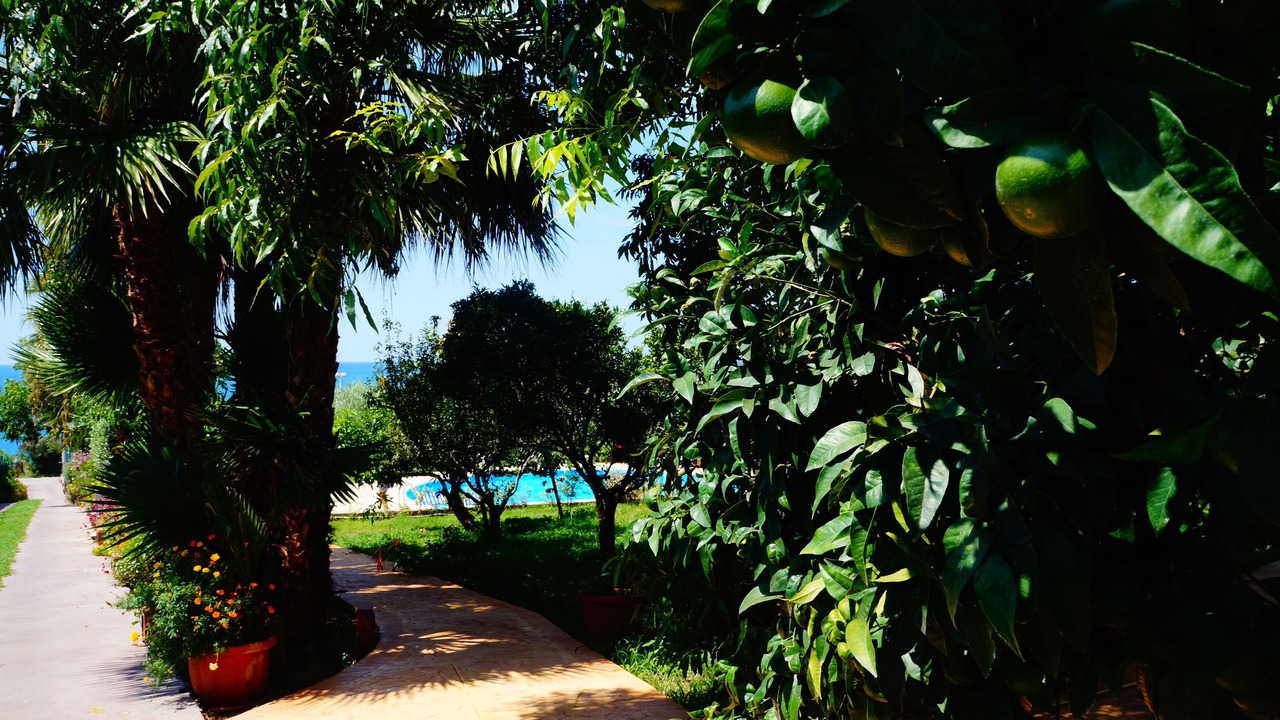 Photo of Outdoor in Joppolo
