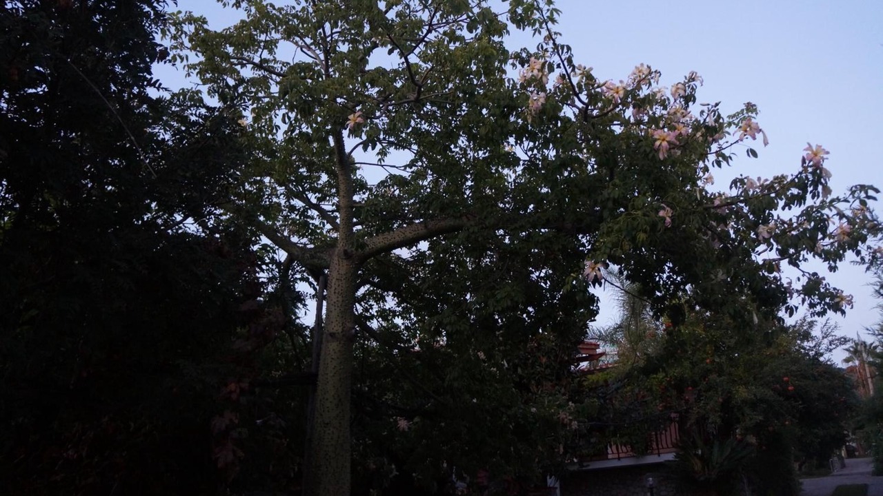 Photo of Outdoor in Joppolo