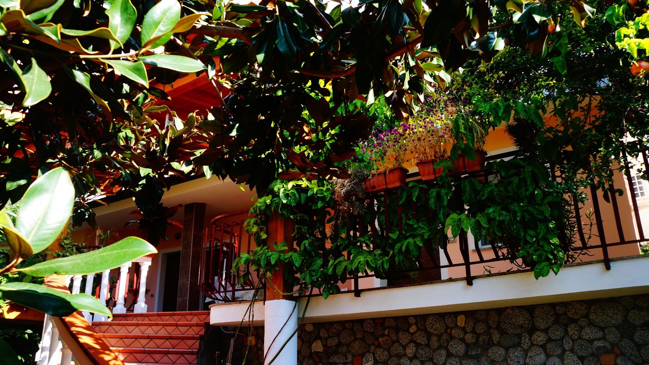 Photo of Outdoor in Joppolo