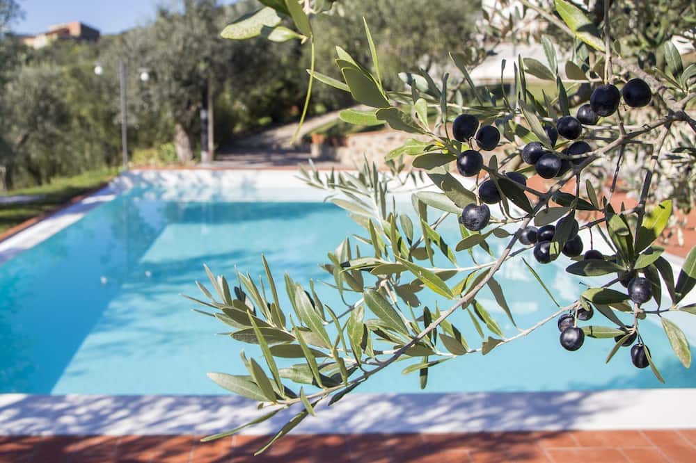 Photo of Outdoor in Larciano