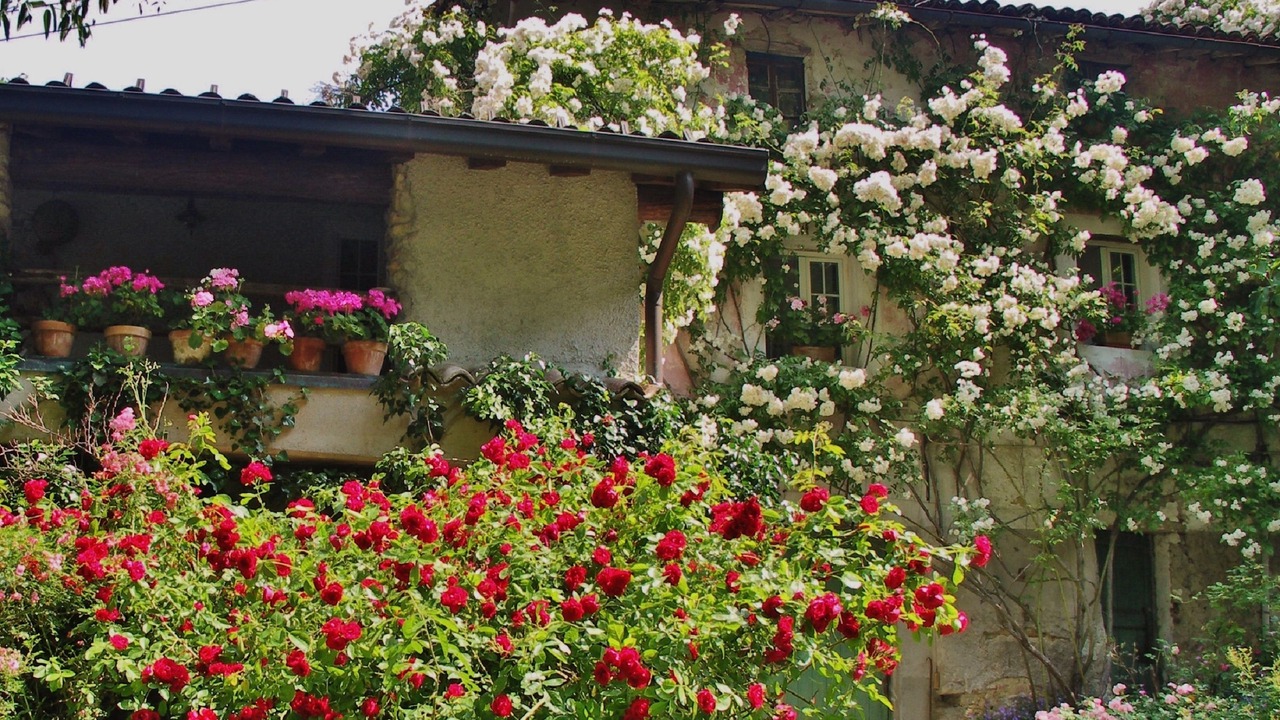 Photo of Outdoor in Stazzano