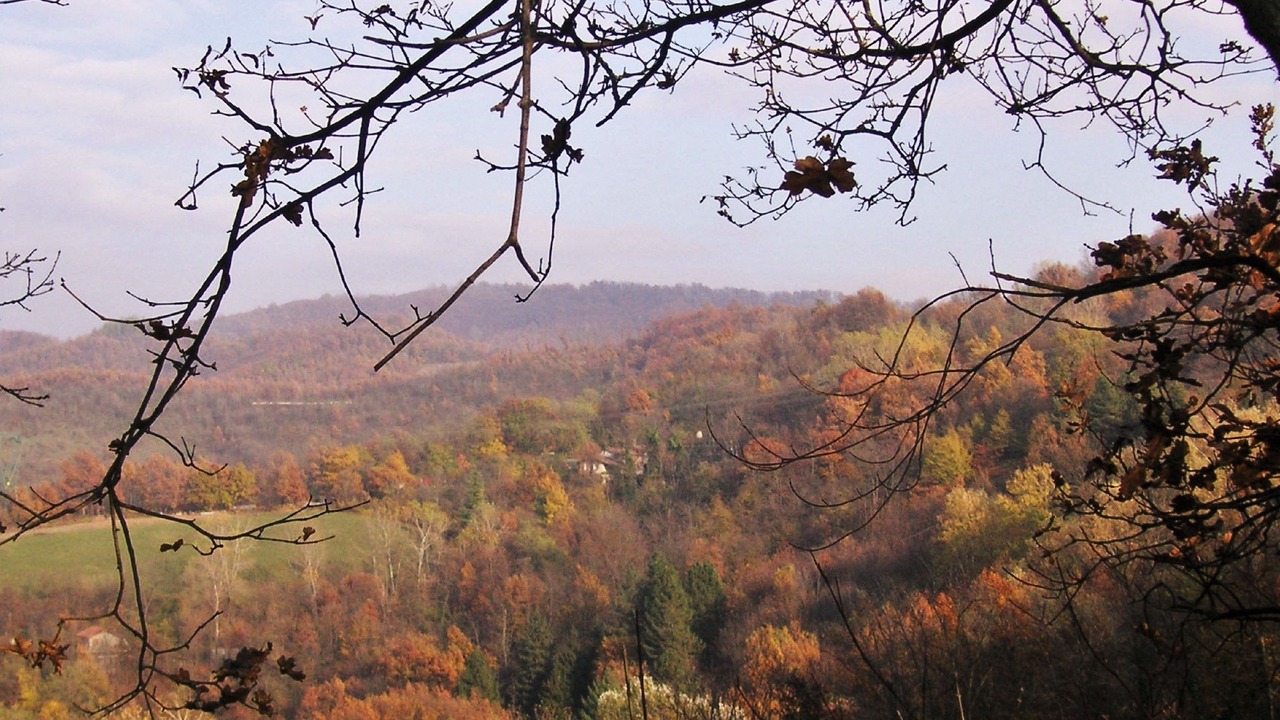 Photo of Outdoor in Stazzano