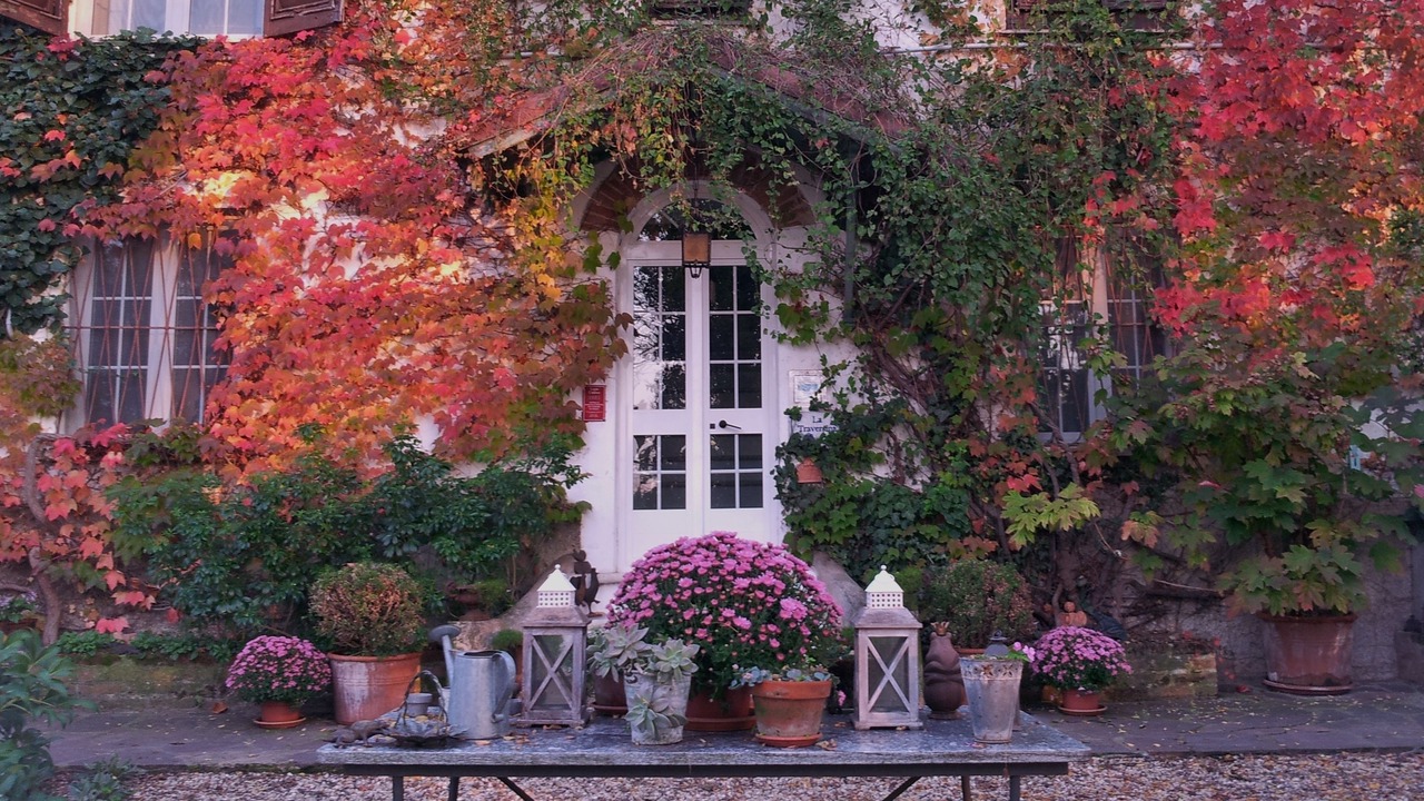 Photo of Outdoor in Stazzano
