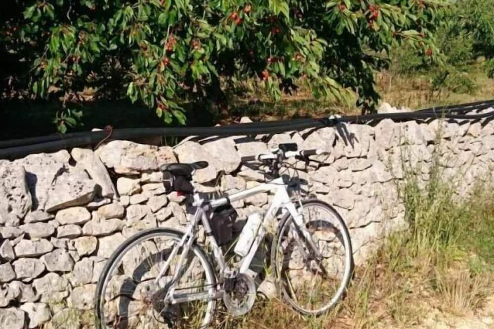 Photo of Outdoor in Alcanterini