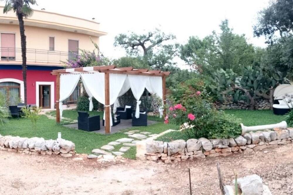 Photo of Outdoor in Alcanterini