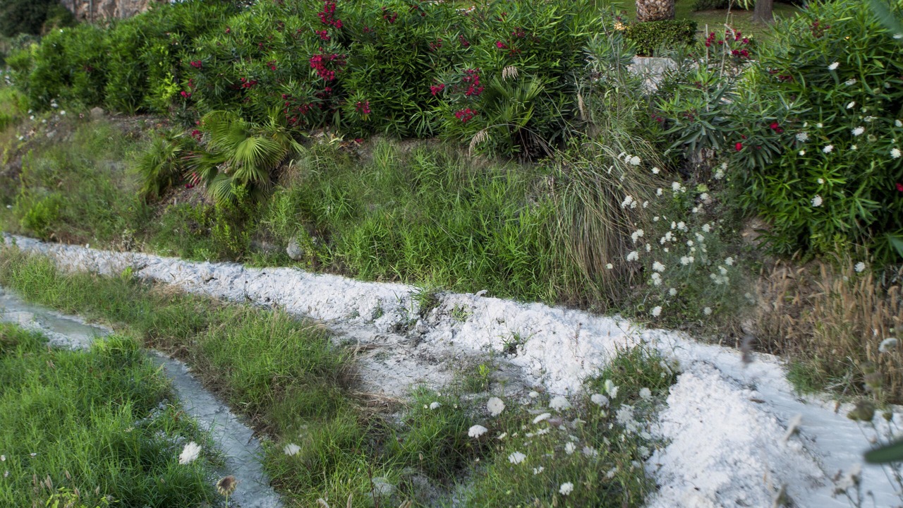 Photo of Outdoor in Mondragone