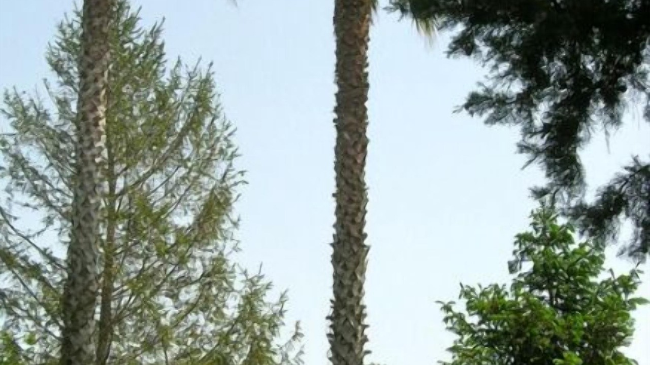 Photo of Outdoor in Capaccio-Paestum