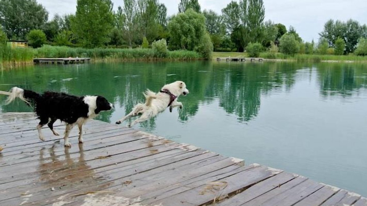Photo of Others in Portomaggiore