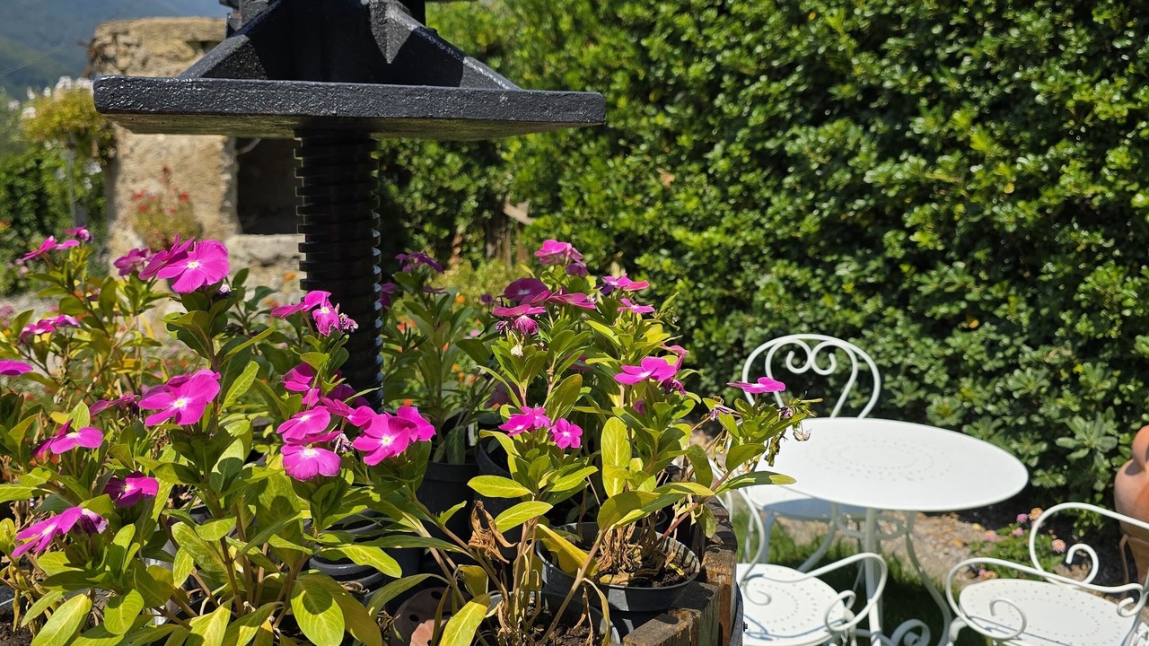 Photo of Outdoor in Campinola