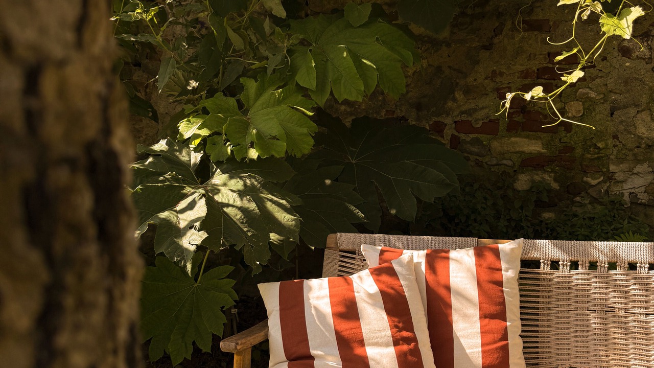 Photo of Outdoor in Strevi