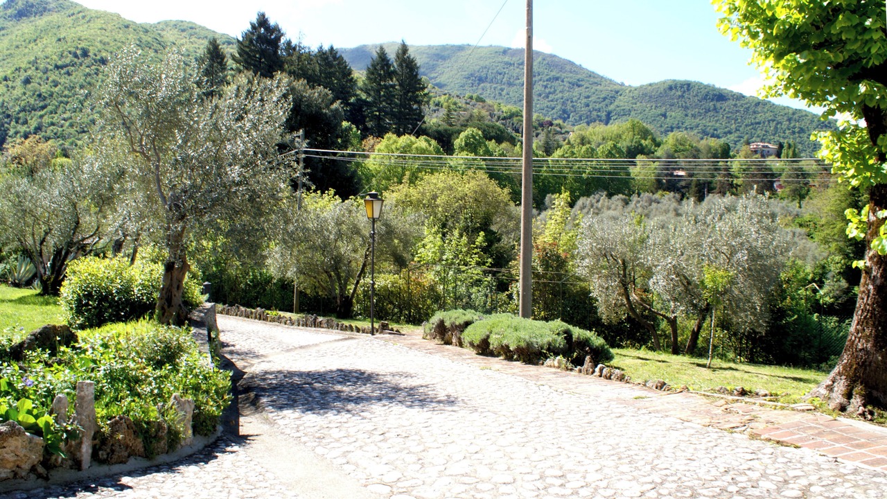 Photo of Outdoor in Subiaco