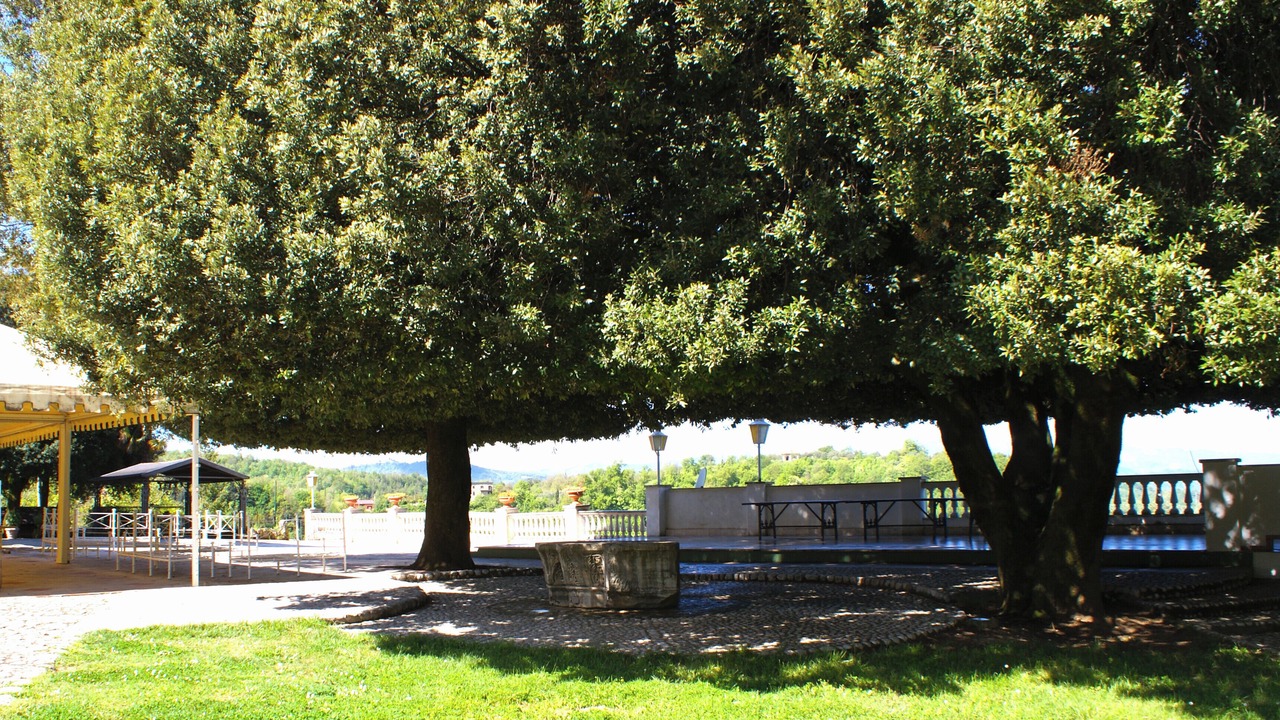 Photo of Outdoor in Subiaco