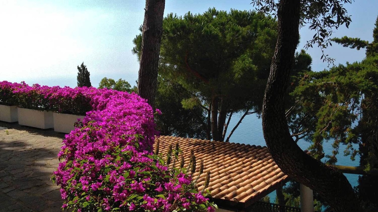Photo of Outdoor in Faro