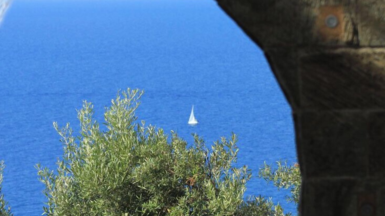Photo of Outdoor in Faro