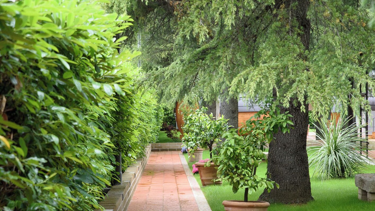 Photo of Outdoor in Vazia