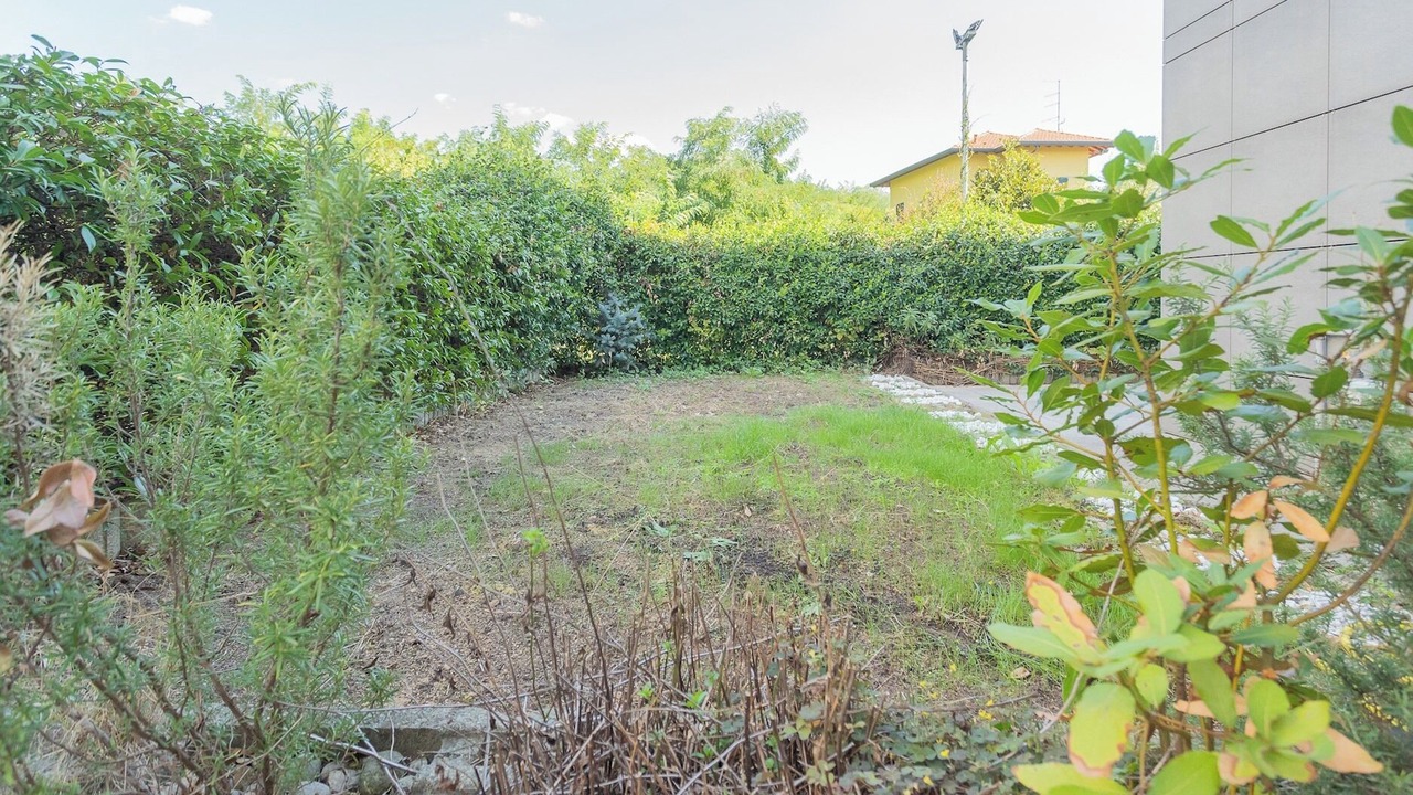Photo of Outdoor in Albate