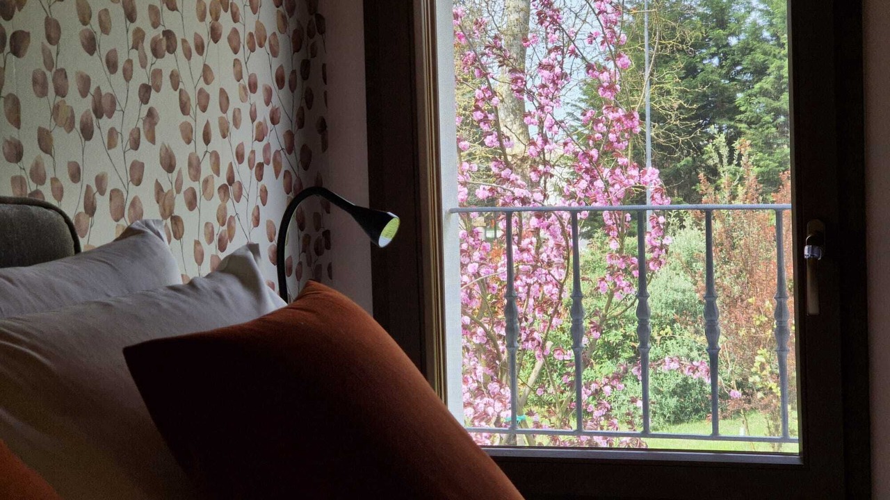 Photo of Bedroom in Parasacco