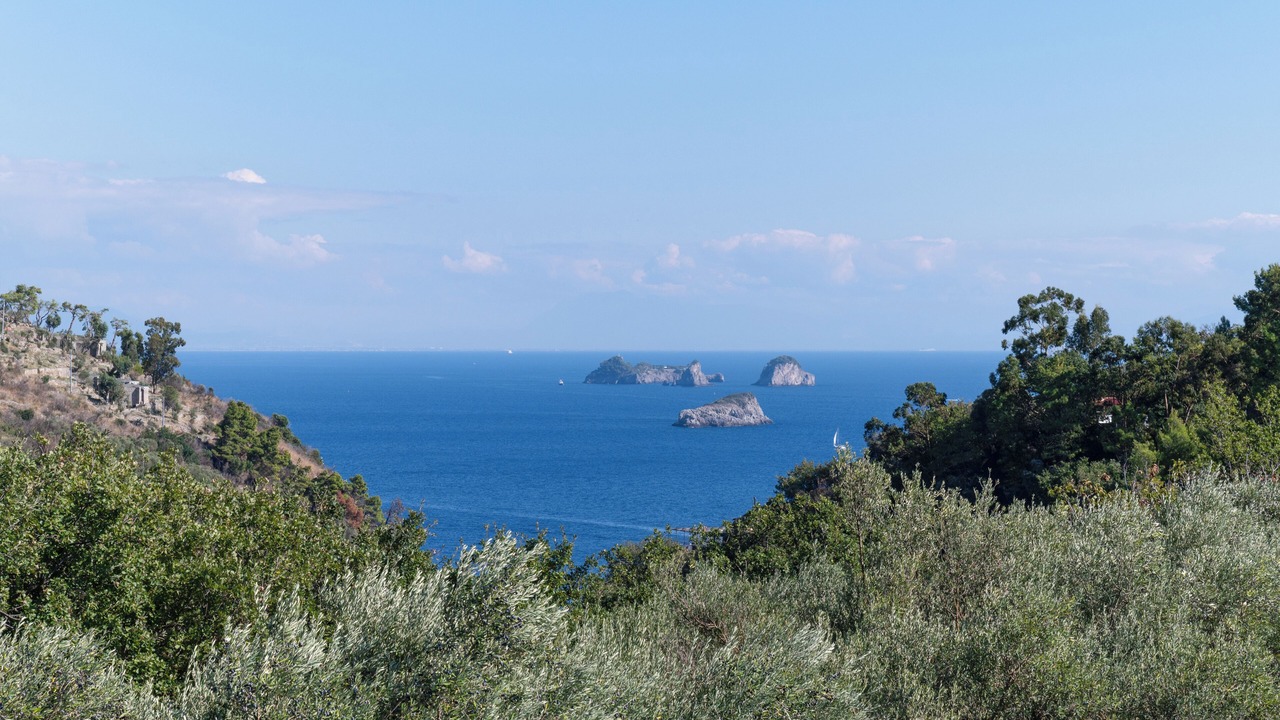 Photo of Outdoor in Sirenuse
