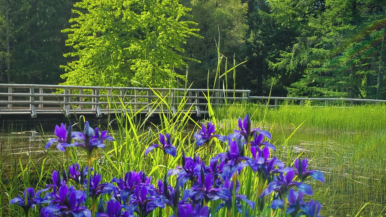 Photo of Outdoor in Ravina