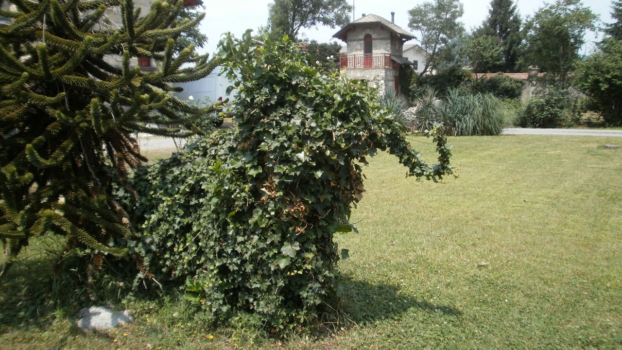 Photo of Outdoor in Palazzolo sull'Oglio
