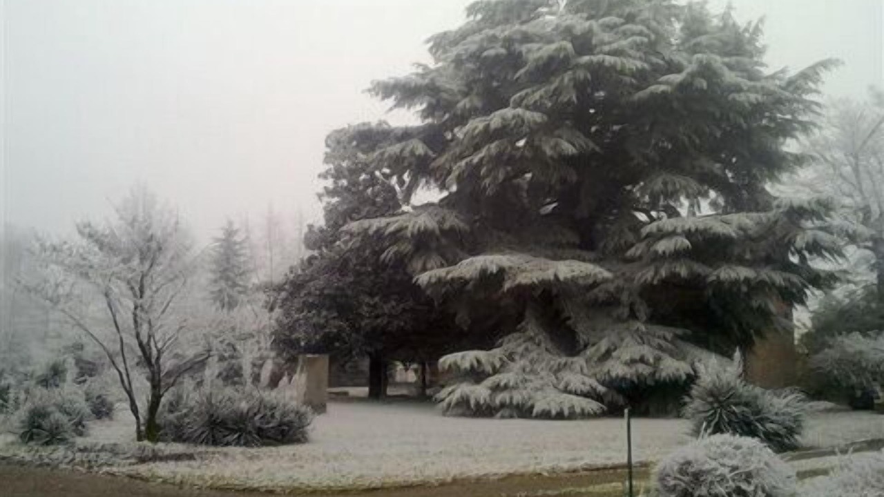Photo of Outdoor in Palazzolo sull'Oglio