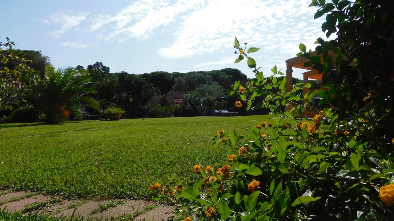 Photo of Outdoor in Matta 'e Peru