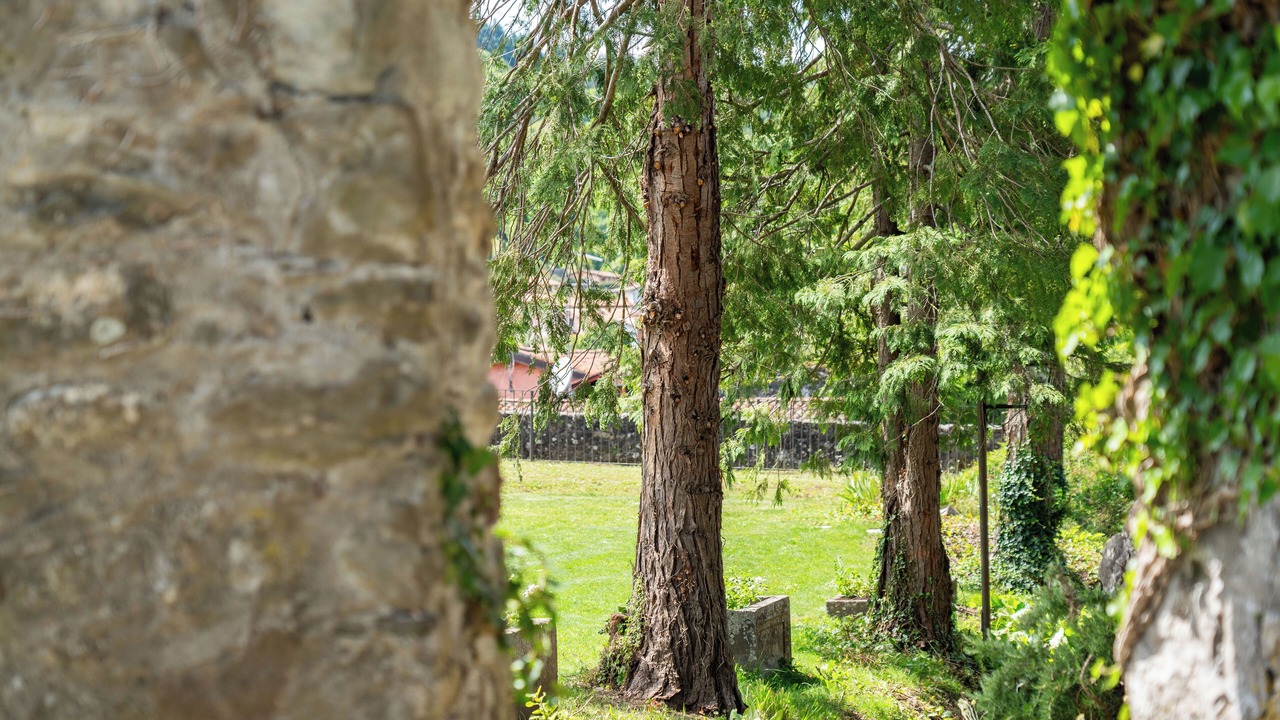 Photo of Outdoor in Camporgiano