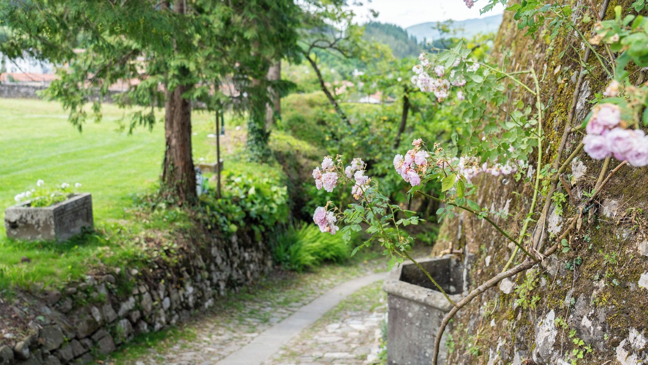 Photo of Outdoor in Camporgiano