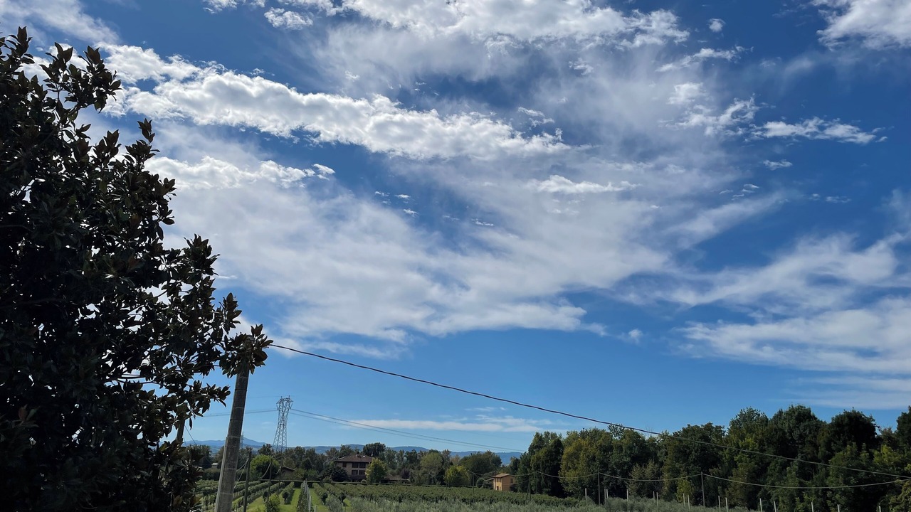 Photo of Outdoor in Spilamberto