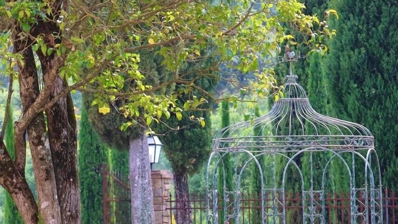 Photo of Outdoor in Monte San Savino