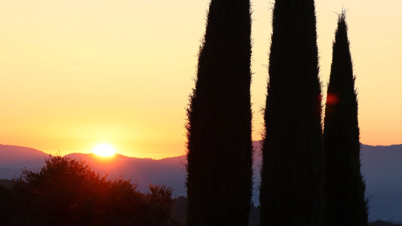 Photo of Others in Monte San Savino