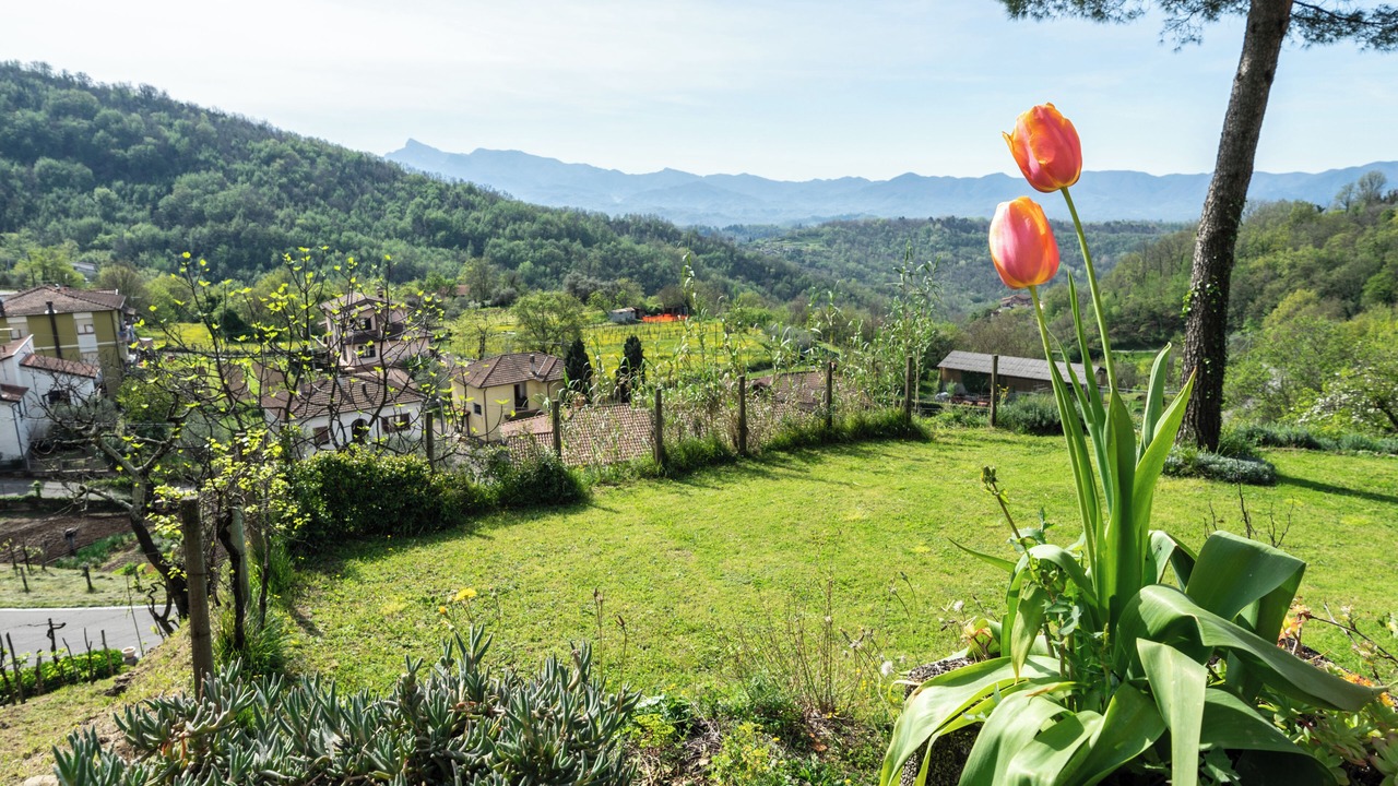 Photo of Outdoor in Licciana Nardi