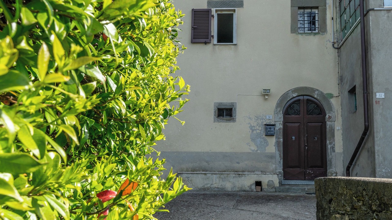 Photo of Outdoor in Licciana Nardi