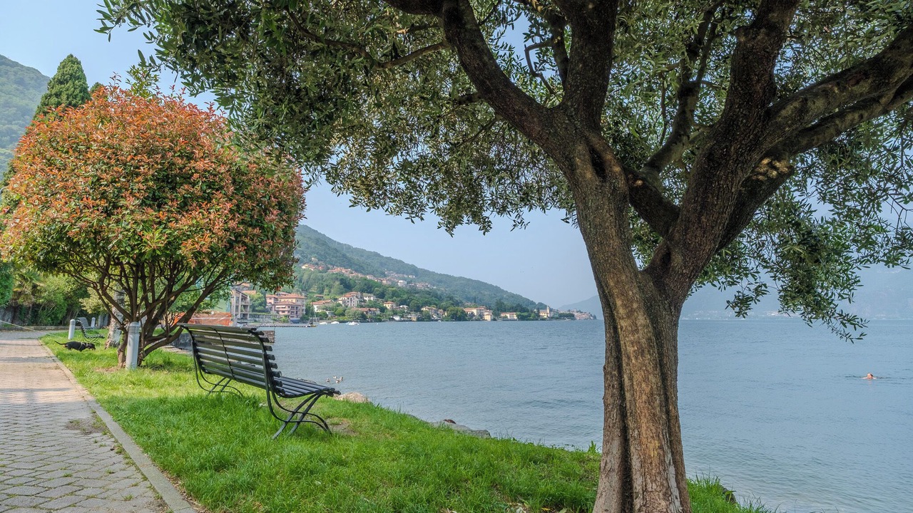Photo of Outdoor in Acquaseria
