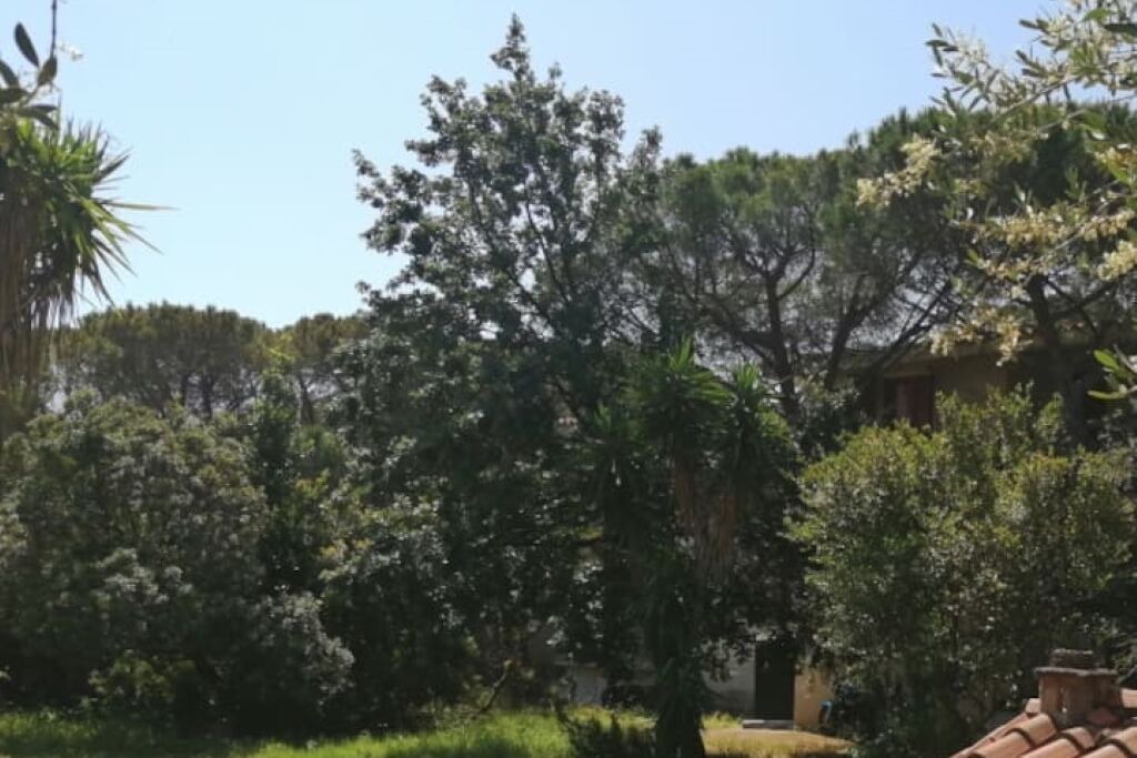 Photo of Outdoor in Posada
