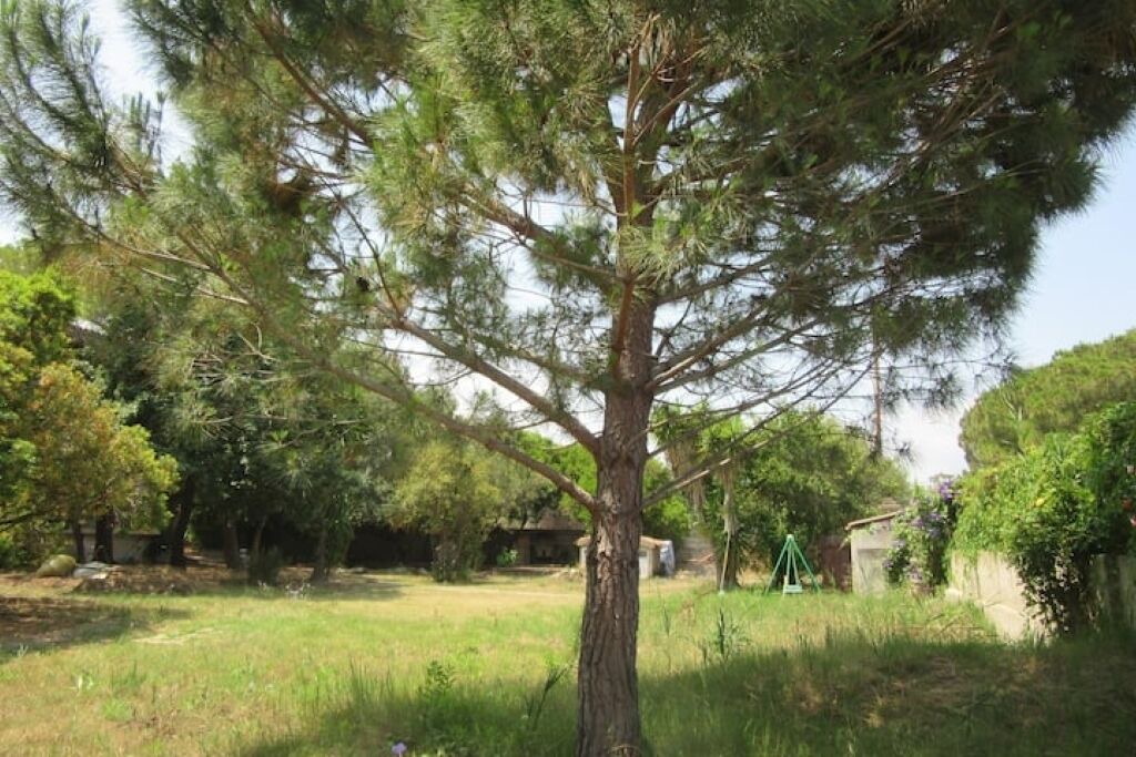 Photo of Outdoor in Posada