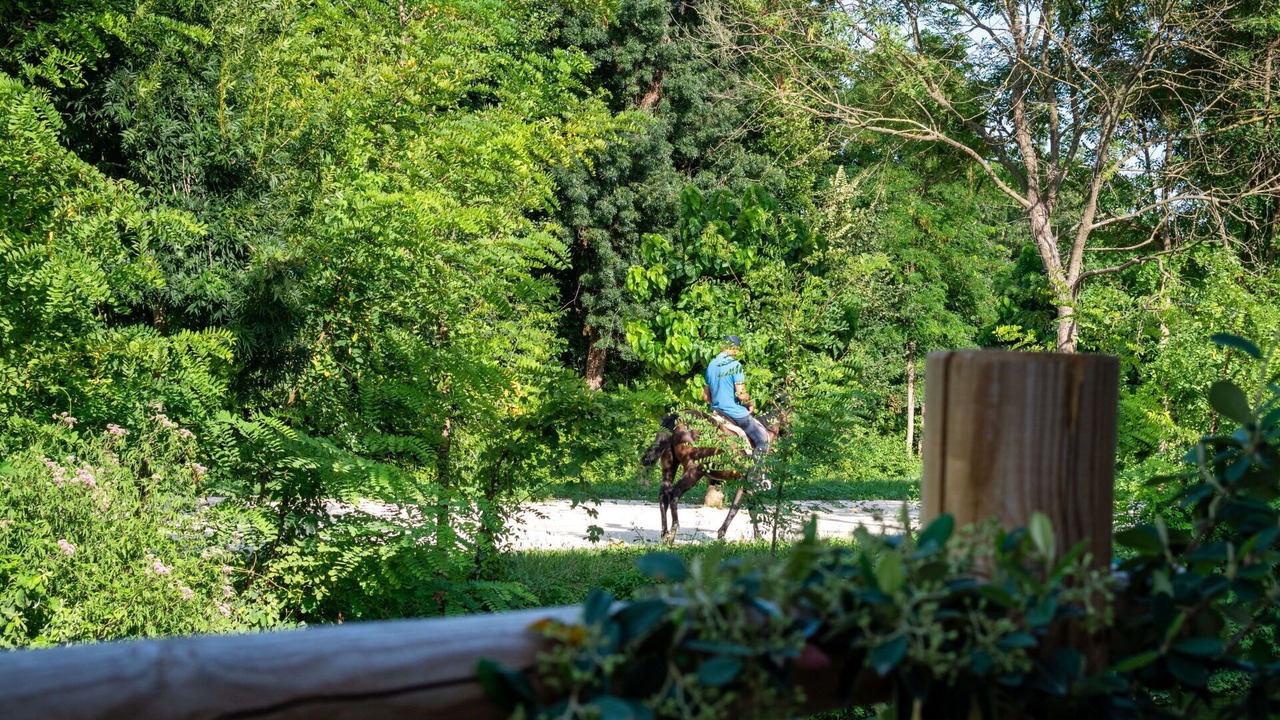 Photo of Outdoor in Sesto al Reghena