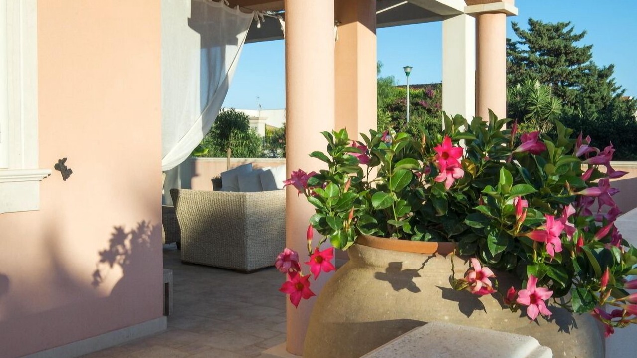 Photo of Patio Balcony in Caucana-finaiti-casuzze-finaiti Nord