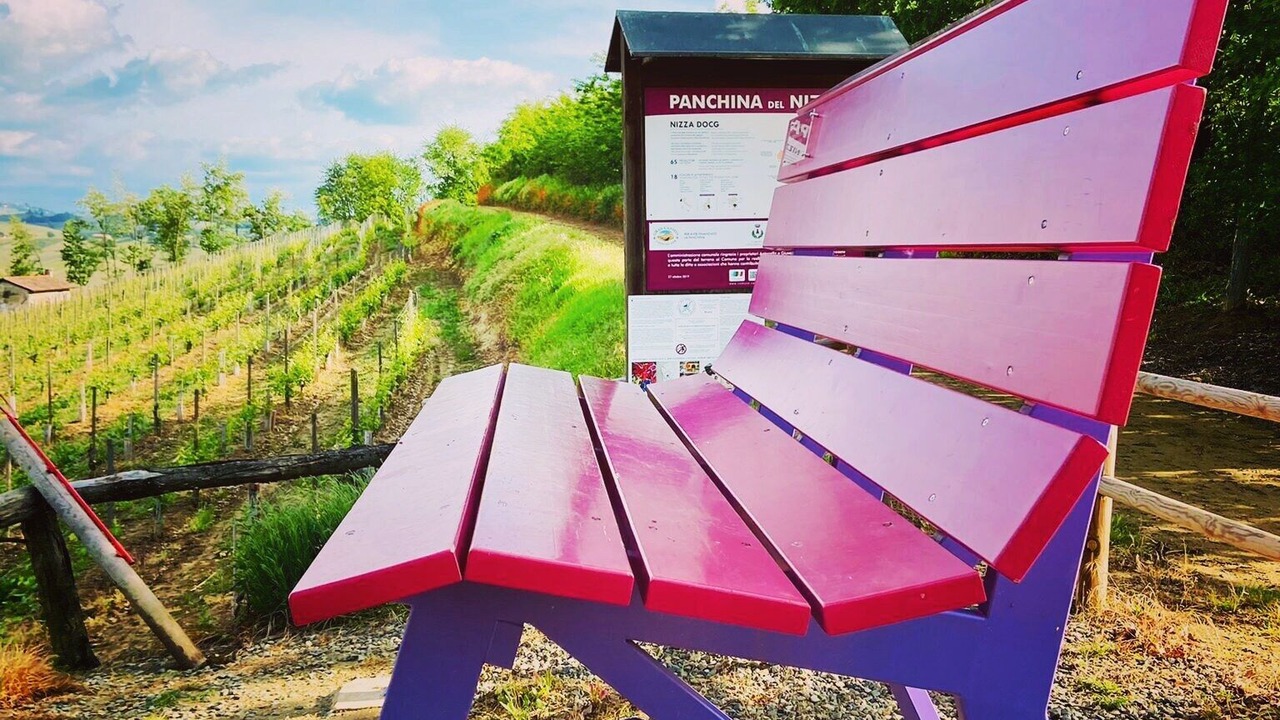 Photo of Outdoor in Castelnuovo Belbo