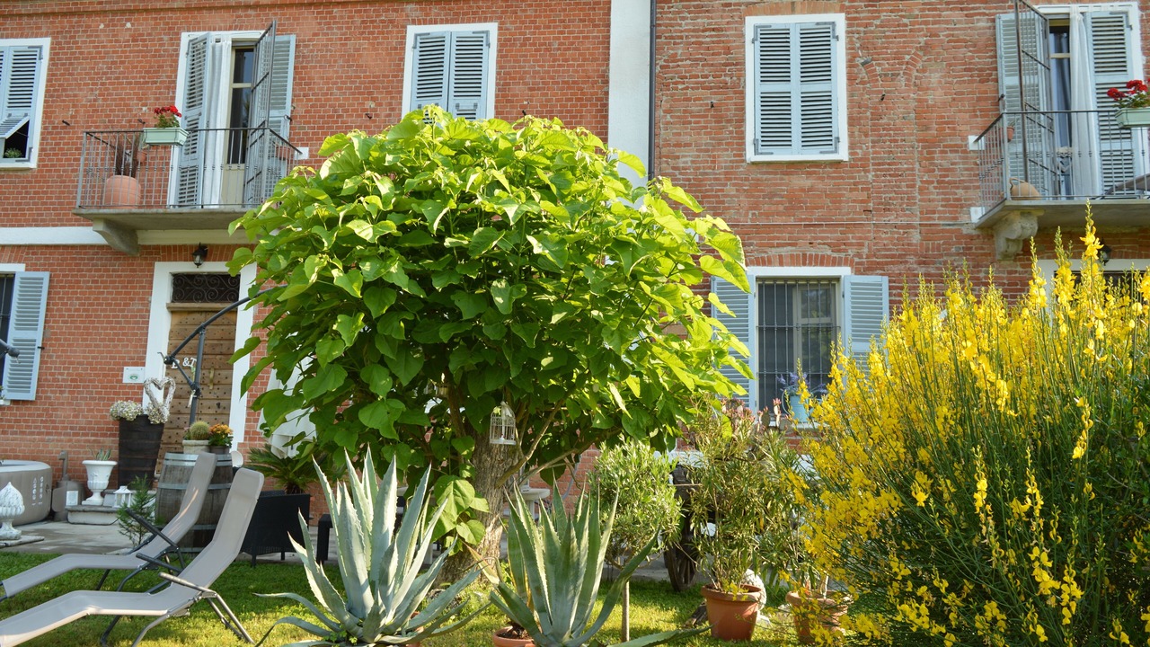 Photo of Outdoor in Castelnuovo Belbo