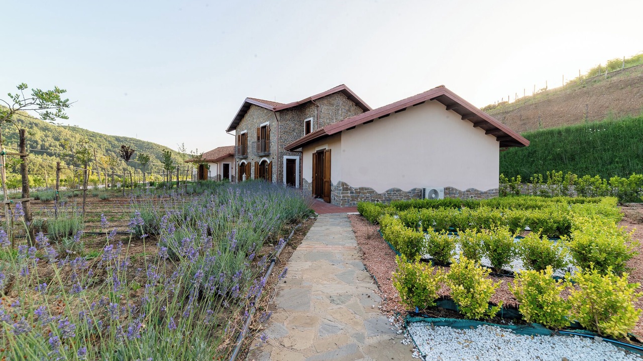Photo of Outdoor in Perito