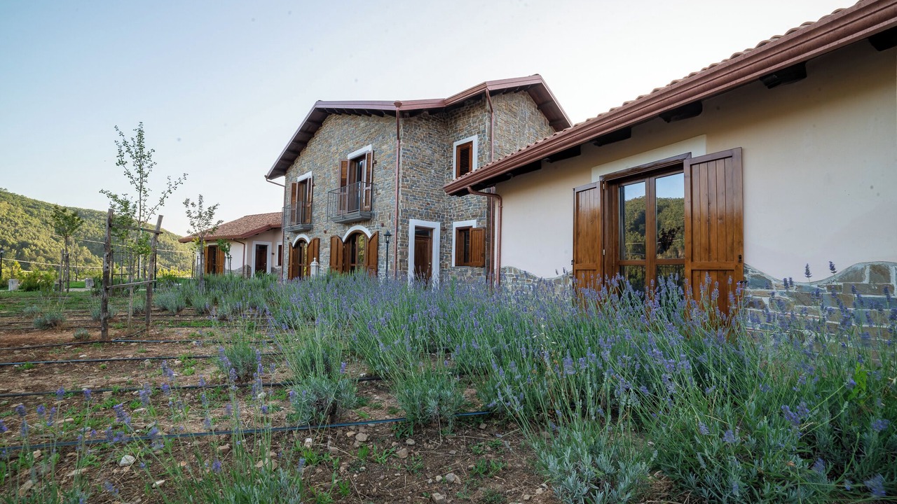 Photo of Outdoor in Perito