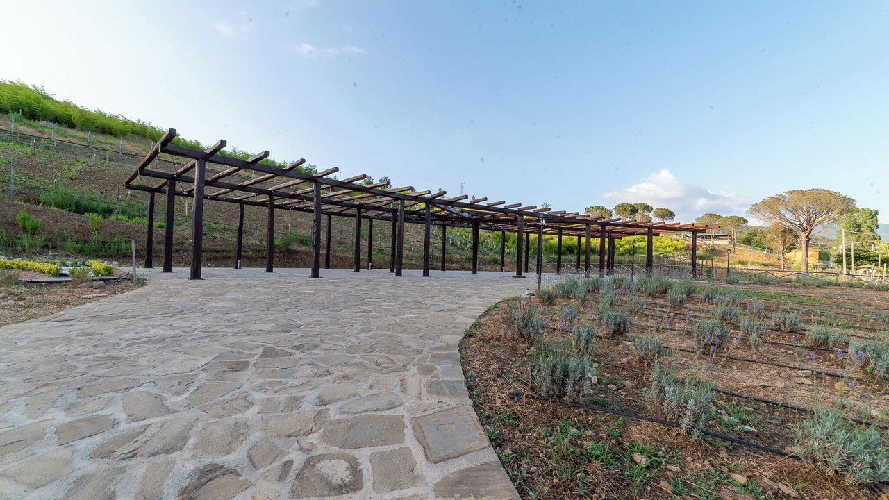 Photo of Outdoor in Perito